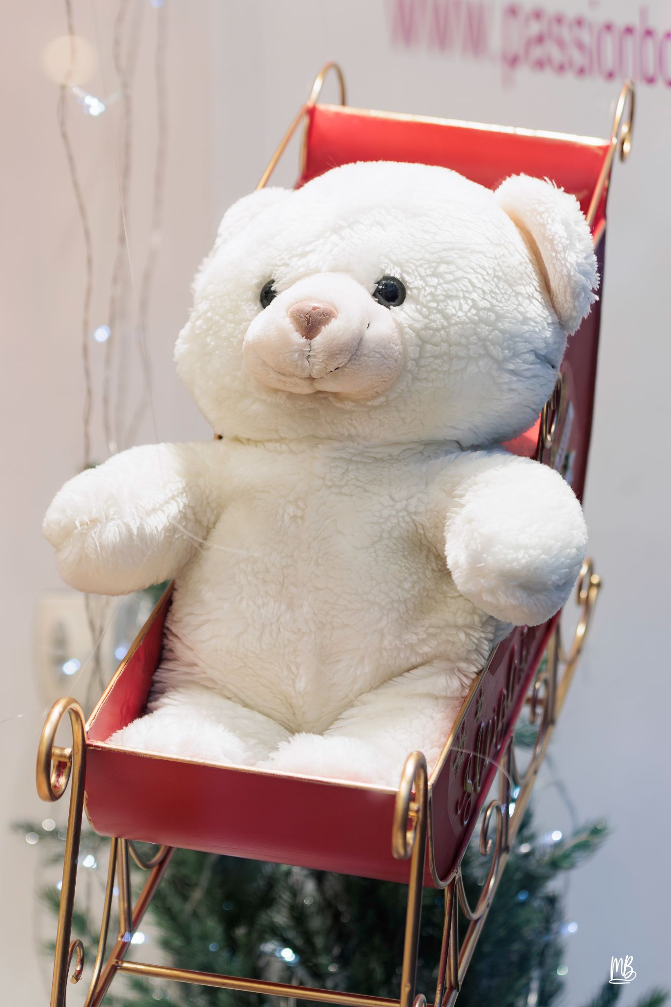 20241129 Noël à Haguenau MB (47 sur 114)